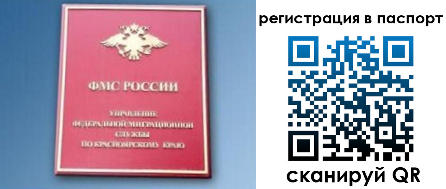 регистрация в Ленинградской области