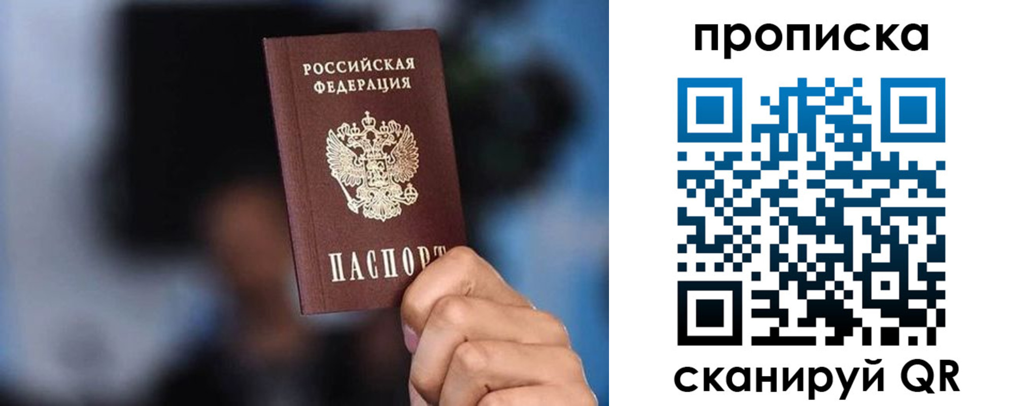 прописка законно в Ленинградской области